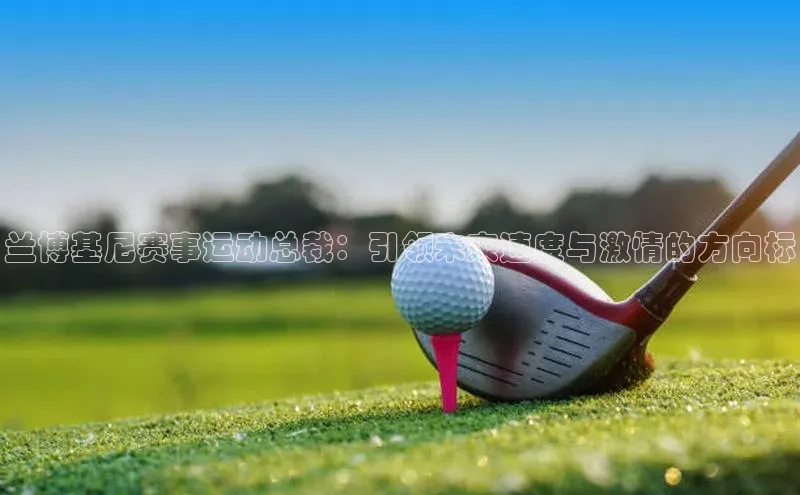 兰博基尼赛事运动总裁：引领未来速度与激情的方向标