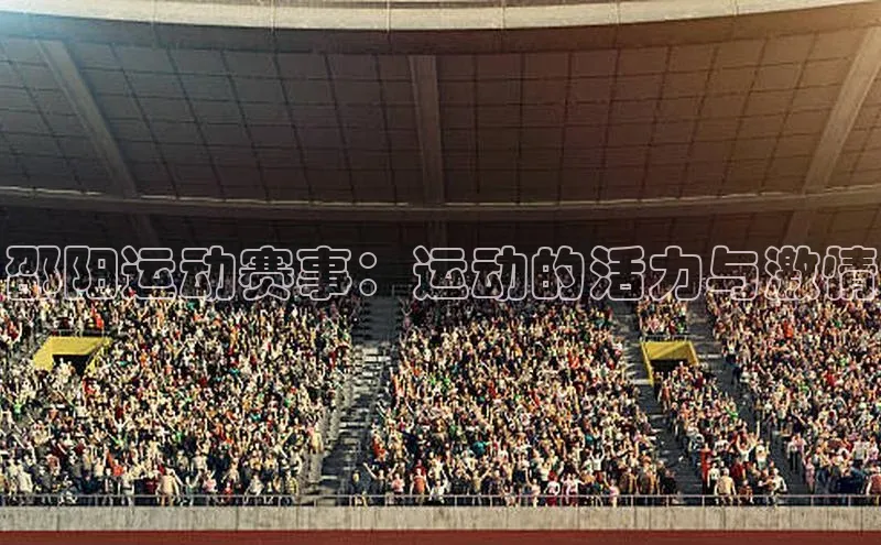 邵阳运动赛事：运动的活力与激情