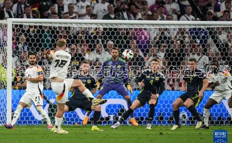 williamhill官网app