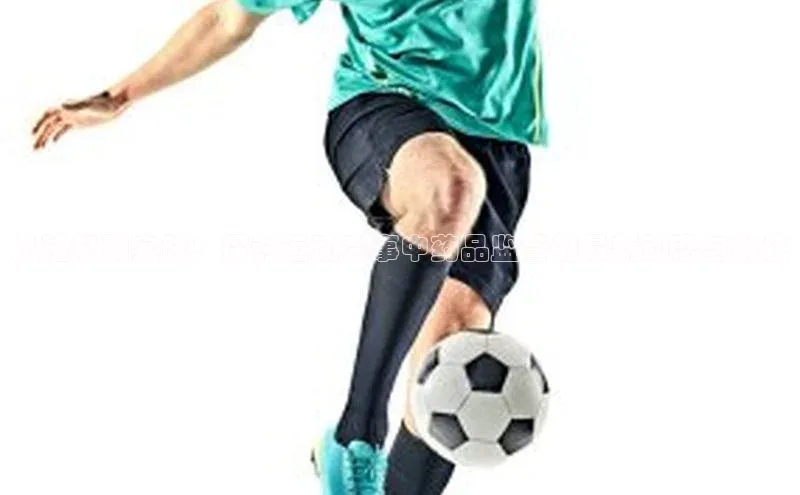 威廉希尔中文网站平台