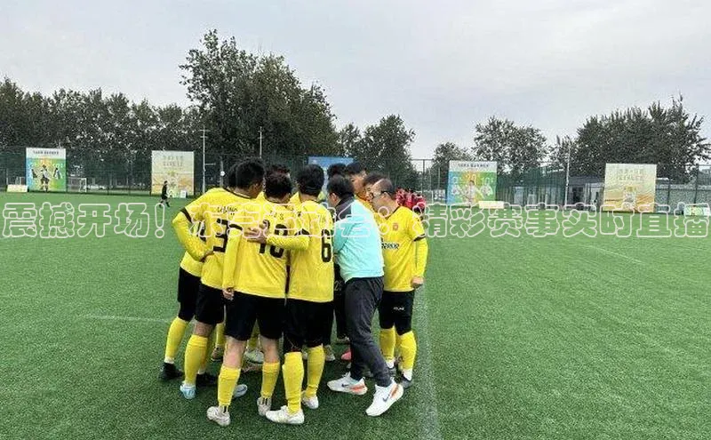 震撼开场！东莞运动会：精彩赛事实时直播