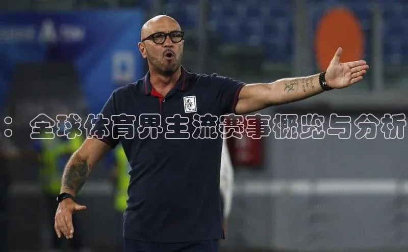 ：全球体育界主流赛事概览与分析