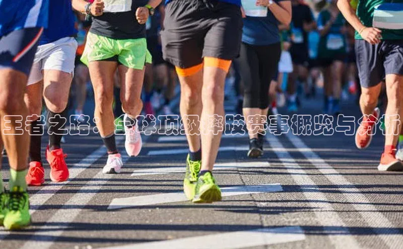 王者之路：全球顶级摔跤赛事概览与分析
