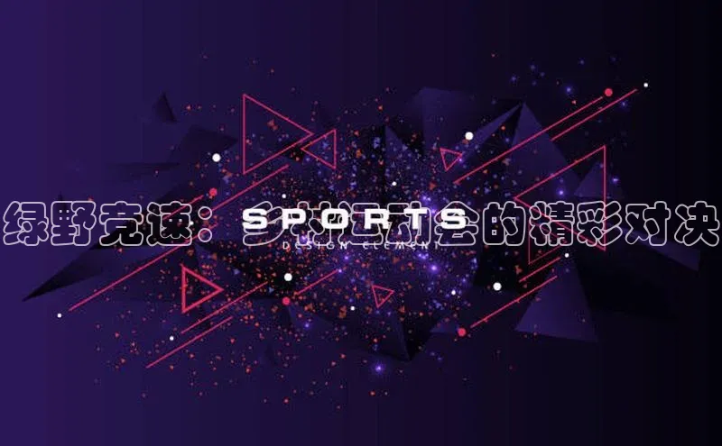 绿野竞速：乡村运动会的精彩对决
